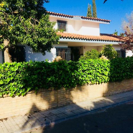 Villa Ferrer Sevilla Ginés Exteriör bild