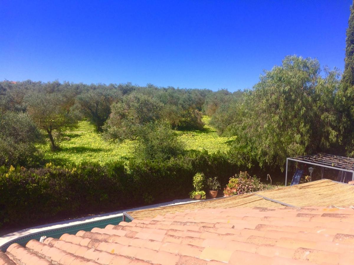 Villa Ferrer Sevilla Ginés Exteriör bild