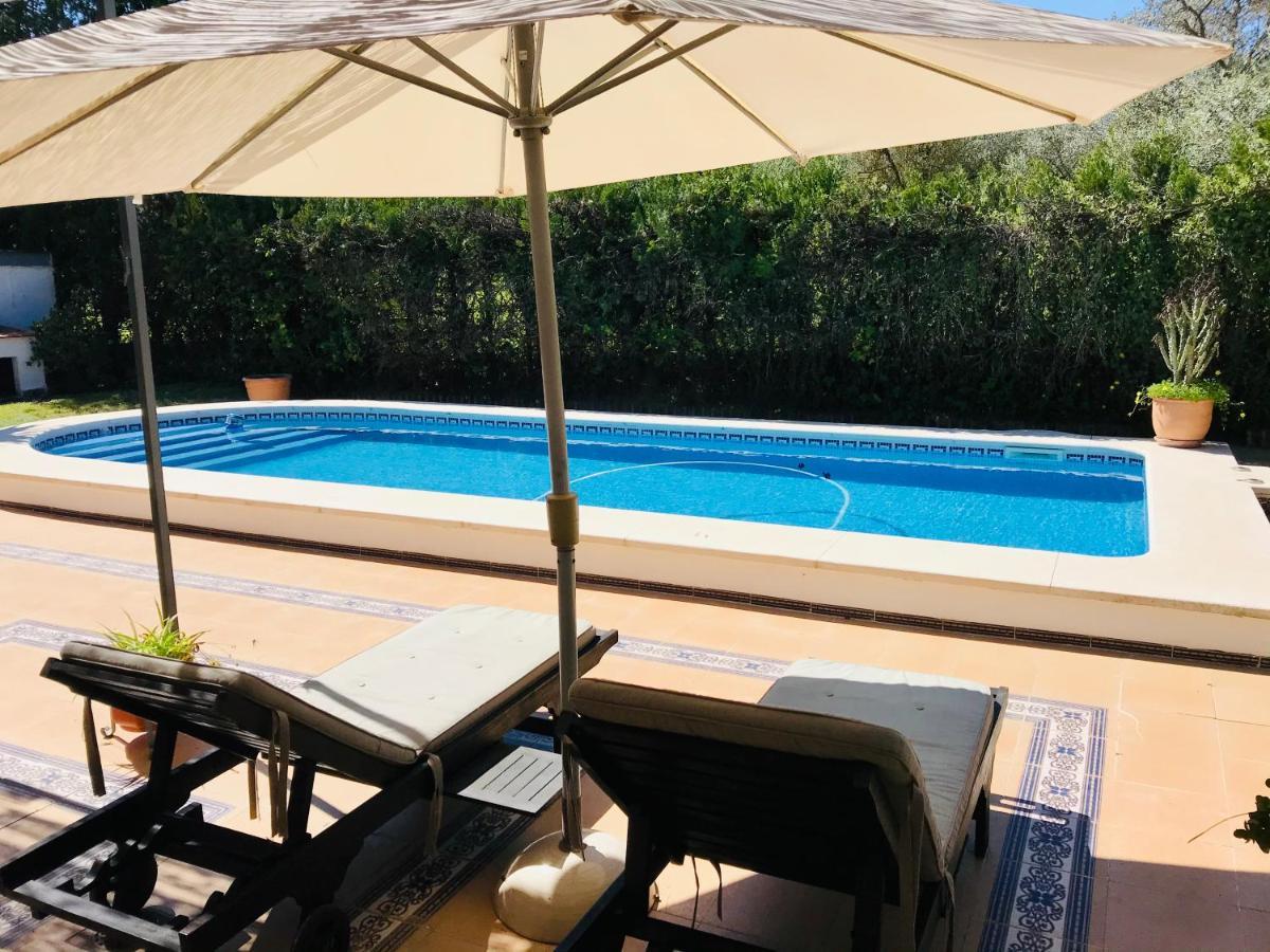 Villa Ferrer Sevilla Ginés Exteriör bild