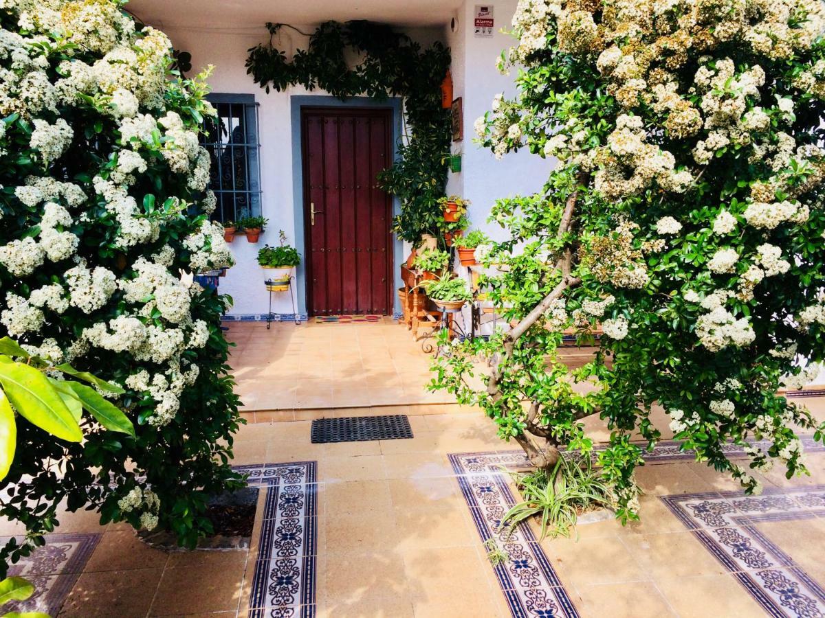 Villa Ferrer Sevilla Ginés Exteriör bild
